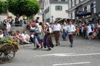 IMG_6522 (2) 